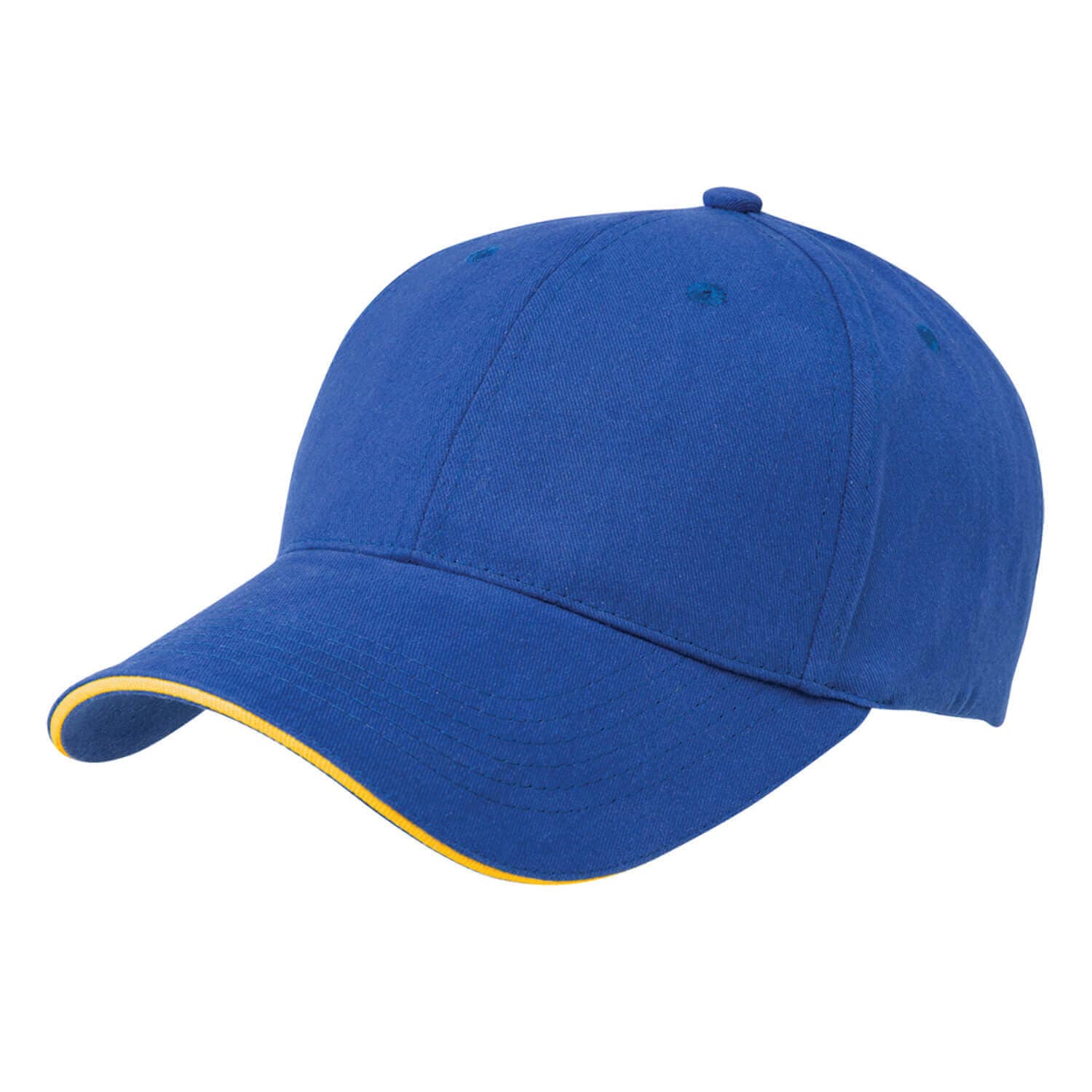 Blue/Gold